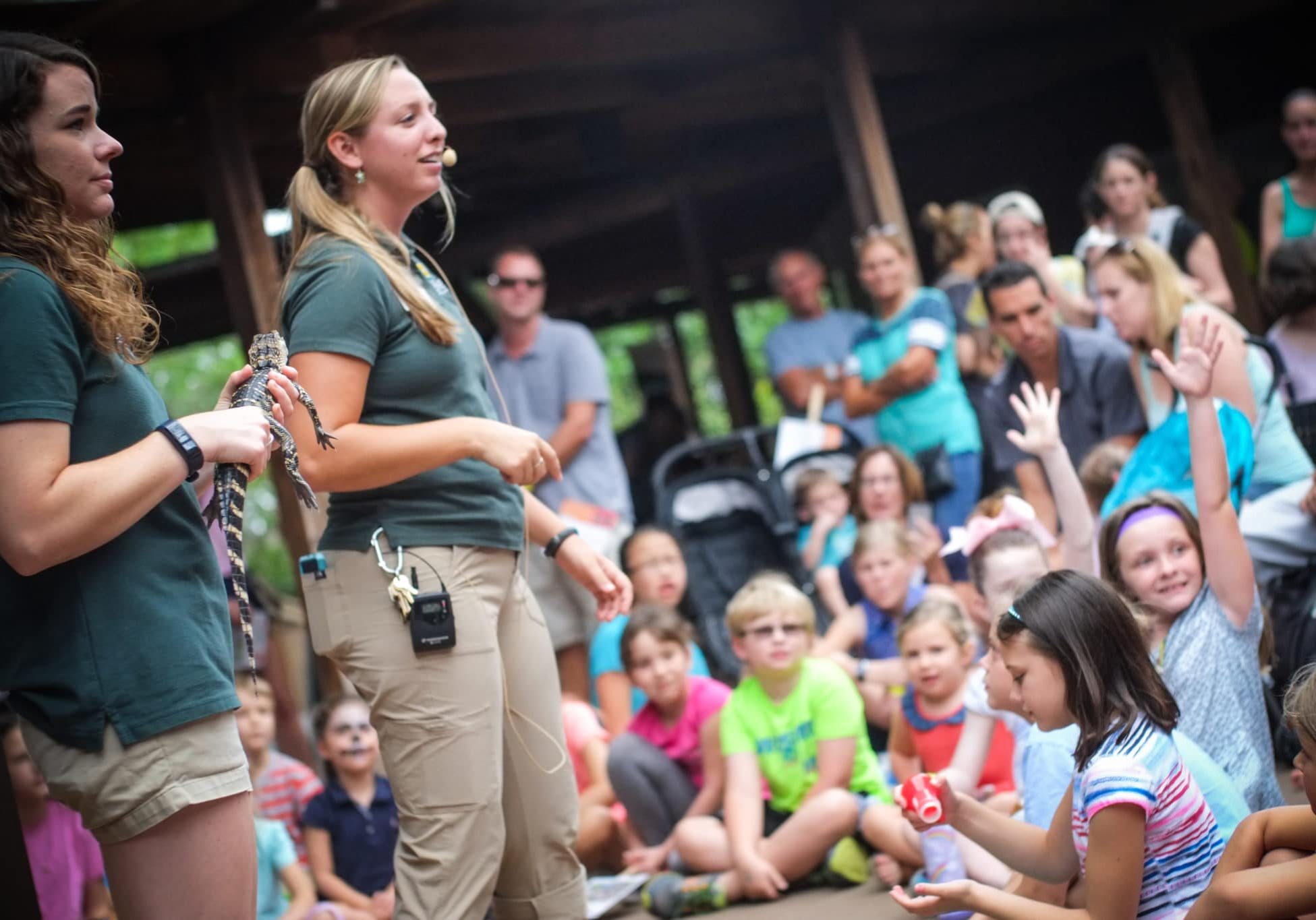 Katie Ferron Reptile Show