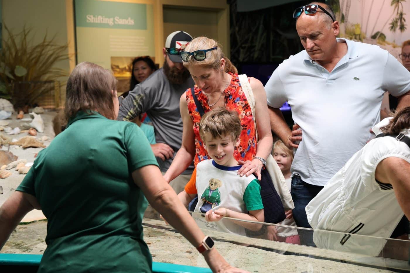 Touch Tank