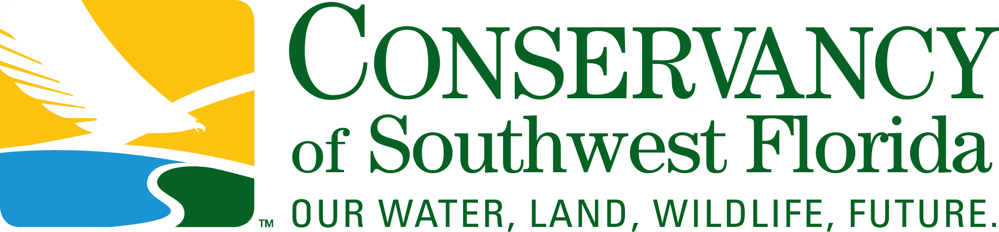 Logo Color